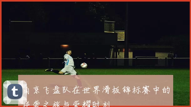 南京飞盘队在世界滑板锦标赛中的逆袭之旅与荣耀时刻