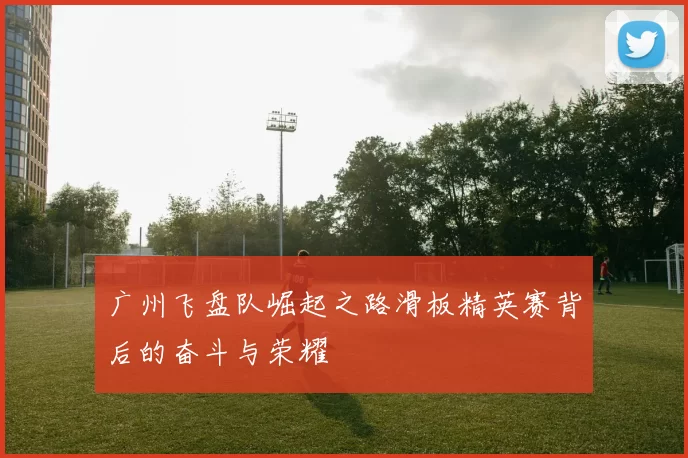 广州飞盘队崛起之路滑板精英赛背后的奋斗与荣耀