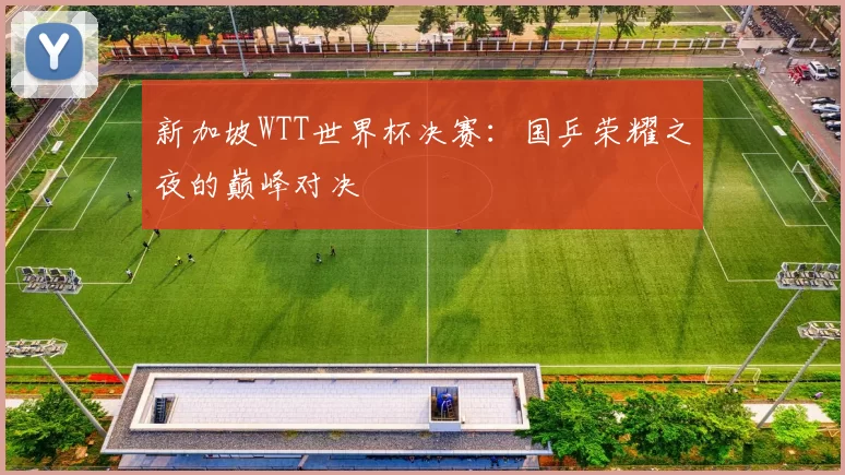 新加坡WTT世界杯决赛：国乒荣耀之夜的巅峰对决