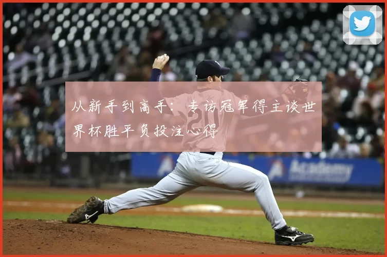 从新手到高手：专访冠军得主谈世界杯胜平负投注心得