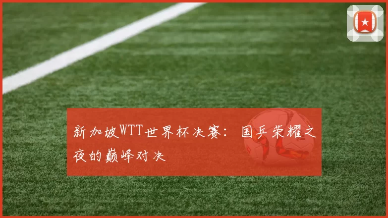新加坡WTT世界杯决赛：国乒荣耀之夜的巅峰对决