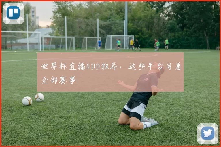 世界杯直播app推荐,这些平台可看全部赛事