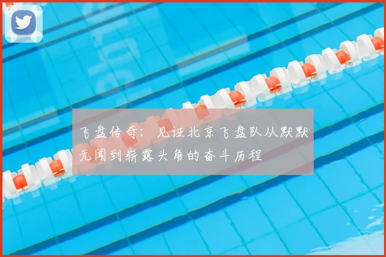 飞盘传奇：见证北京飞盘队从默默无闻到崭露头角的奋斗历程
