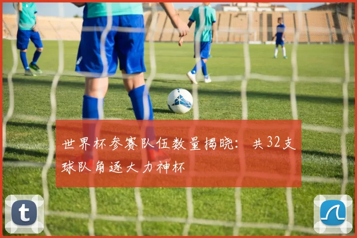 世界杯参赛队伍数量揭晓:共32支球队角逐大力神杯