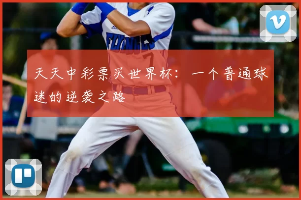 天天中彩票买世界杯：一个普通球迷的逆袭之路
