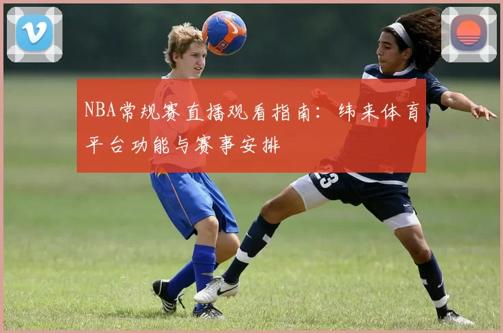 NBA常规赛直播观看指南:纬来体育平台功能与赛事安排