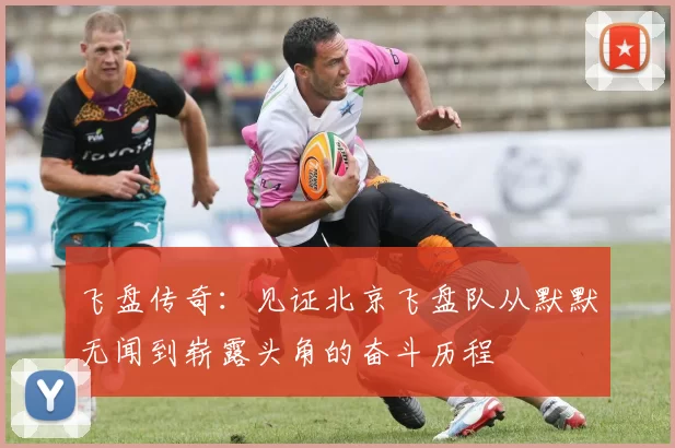 飞盘传奇：见证北京飞盘队从默默无闻到崭露头角的奋斗历程