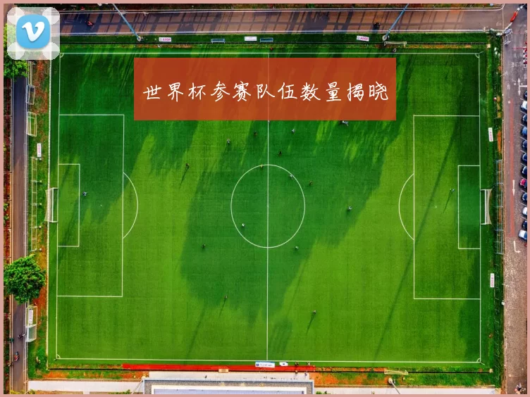 世界杯参赛队伍数量揭晓