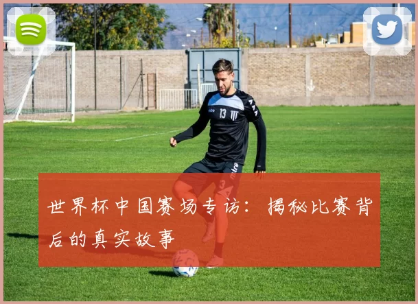 世界杯中国赛场专访:揭秘比赛背后的真实故事